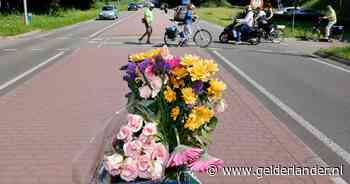 Na tragisch ongeluk: waarom is noodlottige oversteek niet al veel eerder aangepakt?