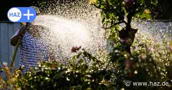 Hitzewelle mit bis zu 30 Grad in Hannover: An heißen Tagen gilt das Bewässerungsverbot