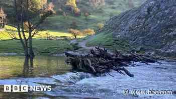 Dovedale stepping stones repair plan submitted