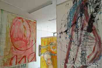 Op zoek naar leuke zomeruitstap voor het hele gezin? Dan is deze kunstzinnige fietstocht van 13 kilometer iets voor jou