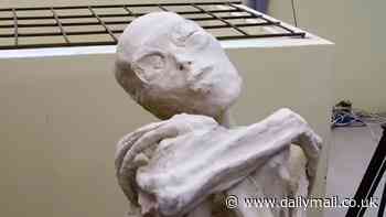 New discoveries about three-fingered 'alien mummy' found in South American cave revealed