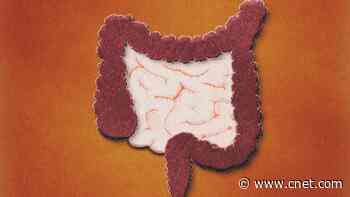 Gut Health May Be Skin Deep: Could a Happier Gut Microbiome Help Your Skin?     - CNET