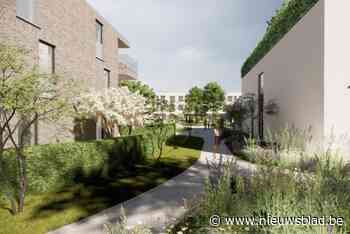 Park Witte Toren in Bree voorgesteld, maar buurt heeft bedenkingen: “Waar moet iedereen parkeren?”