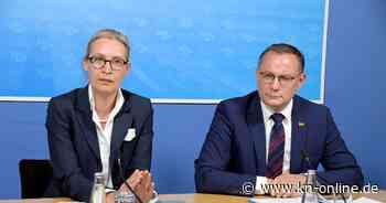 AfD will Rauswurf aus ID-Fraktion im EU-Parlament zuvorkommen