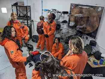 The New Training Programs That Will Prep Students To Keep Astronauts Healthy In Space