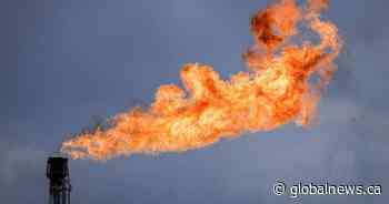 Alberta oil and gas sector exceeded flaring limit in 2023: AER data