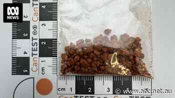 A synthetic opioid stronger than fentanyl and hundreds of times more potent than heroin is emerging in Australia
