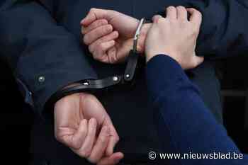 Gemeenten krijgen tot 100.000 euro als ze detentiehuis op grondgebied toelaten, maar zelfs dan loopt zoektocht naar locaties moeizaam