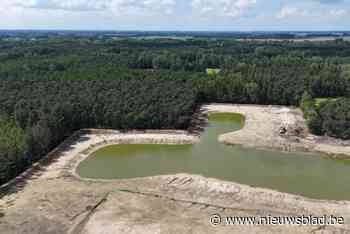 Hier kan de natuur zijn gang gaan: “Oude zandwinningssite wordt natuurgebied De Witte Bergen”