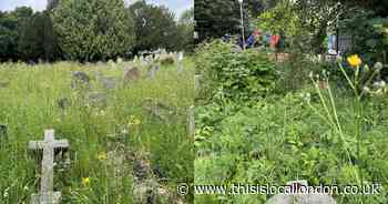 Keston Parish Church graveyard conditions  ‘dangerous’