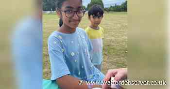 Unearth the wild side of Watford at family-friendly 'Wildfest' event