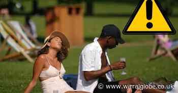 What is a Met Office and UKHSA heat health alert?