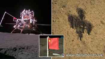 We have touchdown! China makes history by returning the first rocky samples from the moon's far side - which experts say could reveal more about the solar system's early history