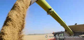 Graan nog in ongewisse, maar topper wordt het niet