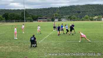 Hobbyturnier TSV Wildberg: Beim Völkerball geht es wieder um den Pokal