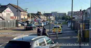 Walden Avenue, Rainham fight: Man stabbed and woman assaulted