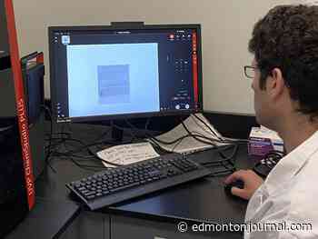 Bare facts: Edmonton researcher discovers rare case of polar bear and grizzly bear hooking up