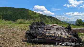 NASA confirms space debris in North Carolina was from SpaceX Crew Dragon reentry
