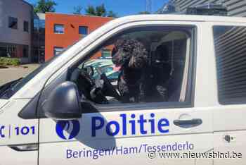Politie neemt hond mee en vraagt aandacht voor welzijn van dieren in vakantie