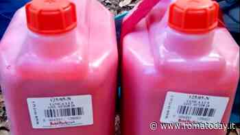 Roma, attivisti di Ultima Generazione fermati con 20 litri di vernice rosa e striscioni: "Bruciamo tutto"