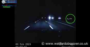 Footage shows 'selfish' driver sped wrong way on M25 in Herts