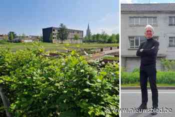 Stad zoekt projectontwikkelaar voor Hartwijk met  8,2 miljoen én goede papieren: “Dit moet een model worden”
