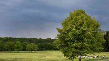 Wetterwechsel am Monatsende: Hoch "Bie" bringt bis zu 33 Grad - und heftige Unwetter