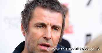 Liam Gallagher angered Highgate Society with pool plans