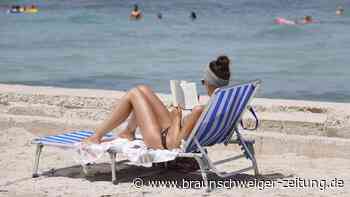 Perfekte Urlaubslektüre: Helmstedter Buch-Experten geben Tipps