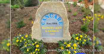 Outrage after cancer tribute garden vandalised in Swanage