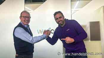 Versicherungen: Investoren wollen frisches Kapital in Start-up Wefox pumpen