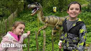 Family 'devastated' as Disney trip pulled amid airline dispute