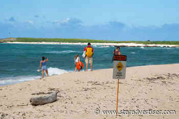 Fatal shark attacks rare off Oahu, experts say