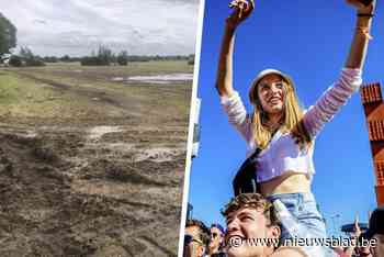 Na parkeerstress op Graspop beperkt ook Rock Werchter (voorlopig) aantal parkeerplaatsen: “Wie al een parkeerticket kocht, heeft sowieso plek”