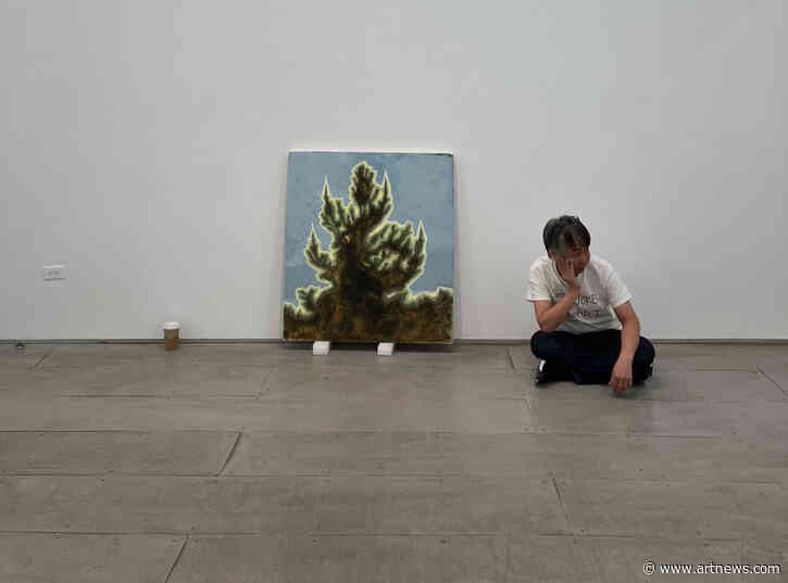 Kazuyuki Takezaki, Star of the Japanese Art Scene, Dies at 48