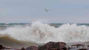 Gusts of wind up to 100 km/h expected in Hamilton-Niagara area Tuesday afternoon