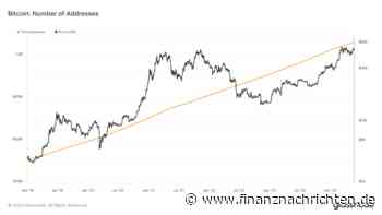 Krypto News: So kann man den Bitcoin Crash jetzt sicher überstehen