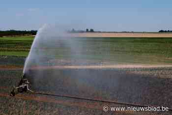 Boeren bewateren volop hun akkers: is er dan nog niet genoeg regen gevallen?