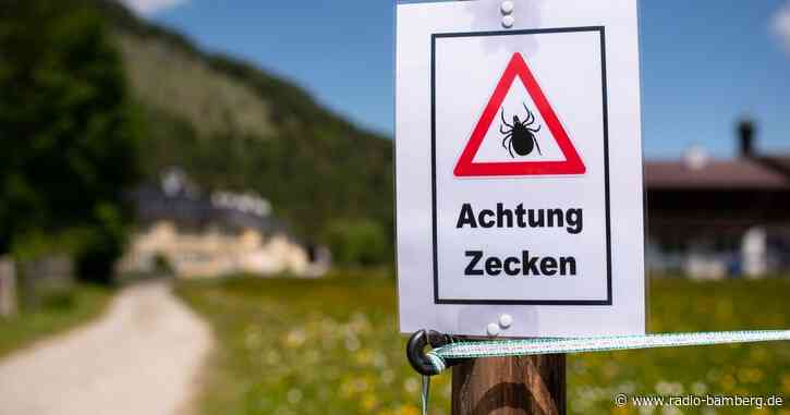 Gefahr durch Zecken: bereits 60 FSME-Fälle in Bayern