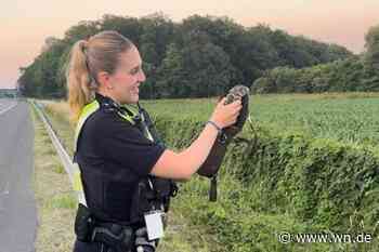 Von der Polizei geretteter Kauz wieder freigelassen