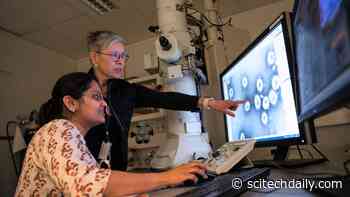 Meet the Virus-Killing Plastic That’s Changing the COVID Game