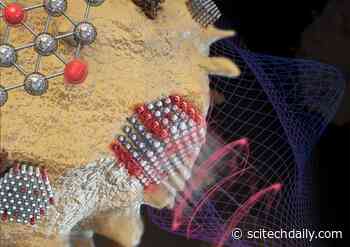 Incredible New Technique Measures Forces As Small as a Virus With Unprecedented Precision