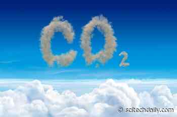 Global Warming Game-Changer: Plants Release Carbon Sooner Than Expected