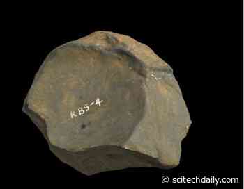 New Research Unravels the Origins of Cumulative Culture in Human Evolution