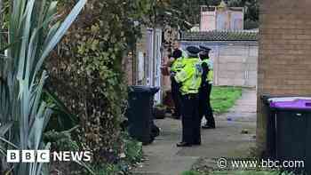 Woman found to have intentionally stabbed two boys