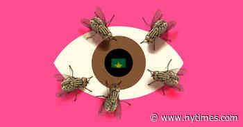 Book Review: ‘Cue the Sun!’ by Emily Nussbaum