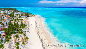 Nederlandse uien in trek in Caribisch gebied