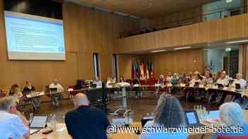 Kommunalwahl in Bad Liebenzell: Raphael Koch darf in den Gemeinderat