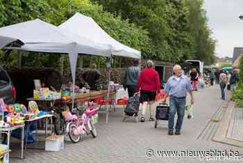Uitgebreide rommelmarkt in Duffel viert 11-jarig jubileum op 30 juni: “Meer dan 170 standhouders”