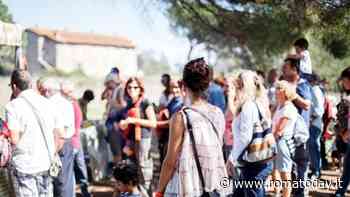 Felicittà da "CO.R.AG.GIO." Cooperativa Romana Agricoltura Giovani